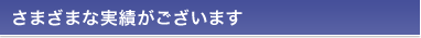 さまざまな実績がございます